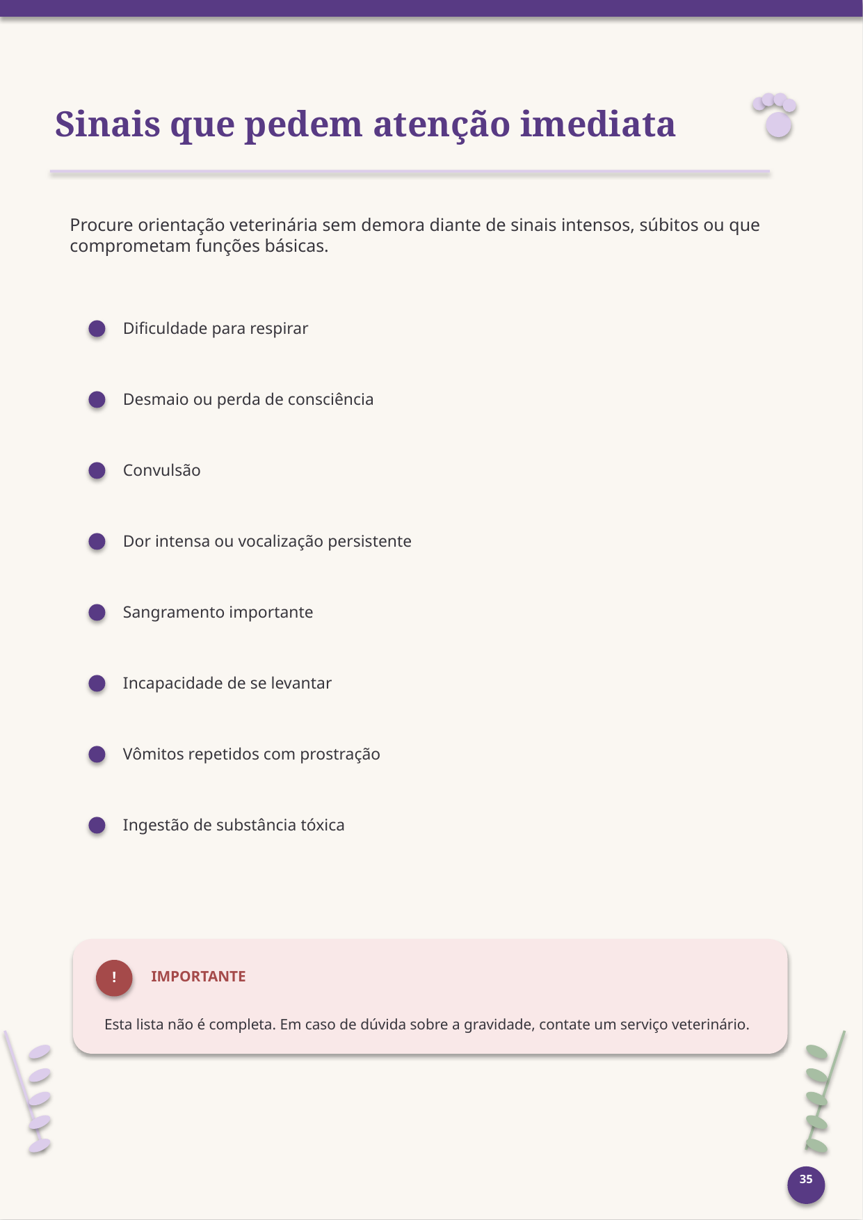 Página interna do guia